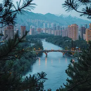 本课程有什么特点